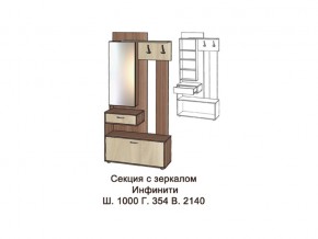 Секция с зеркалом в Нижневартовске - nizhnevartovsk.magazinmebel.ru | фото